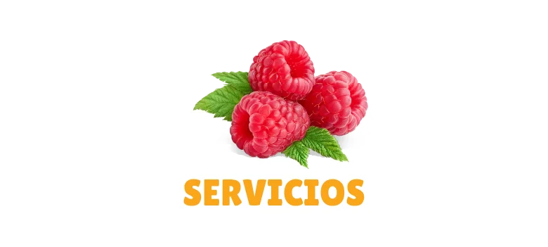 Agriberries - Nuestros Servicios